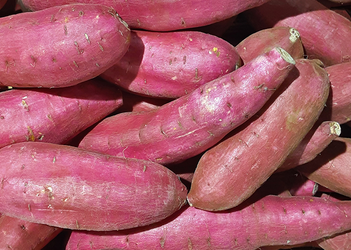 【まとめ】さつまいもは「おいしさ」と「健康」を両立する優秀食材