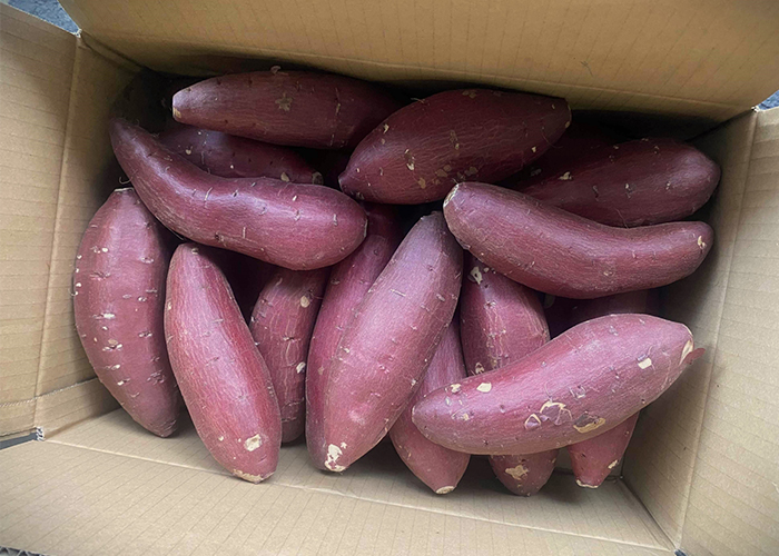 シルクスイートの焼き芋を焼く前の下準備と正しい保存方法