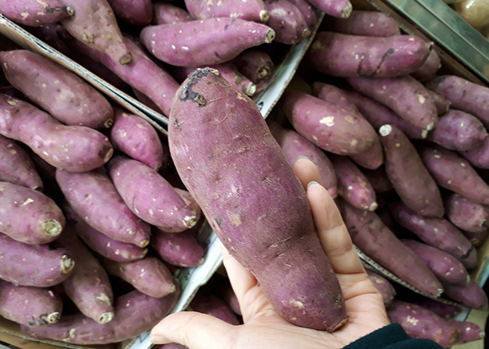紅あずまは収穫後の追熟でさらに甘くなる