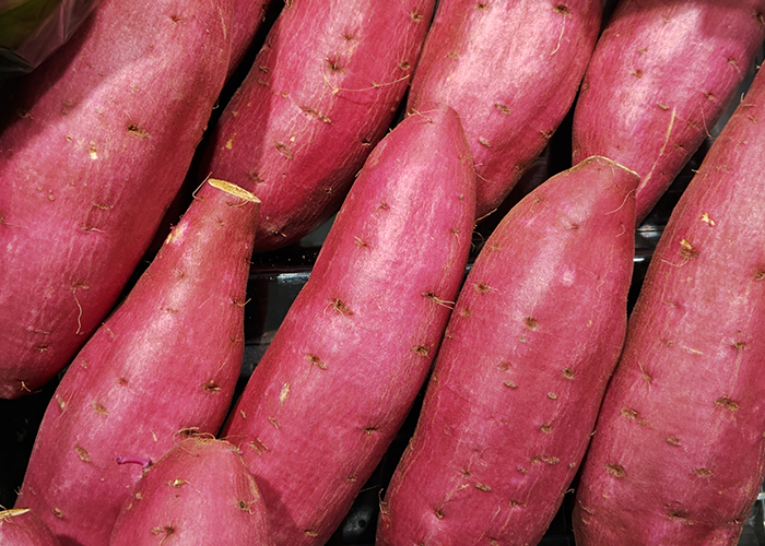 美味しいさつまいもの見分け方