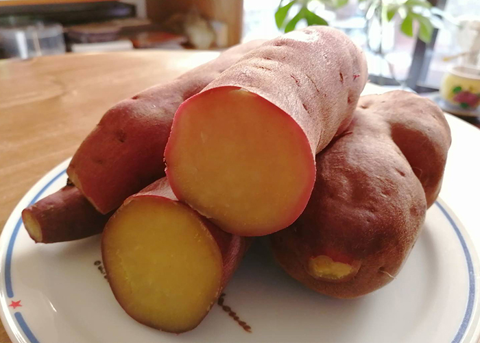 話題の冷やしさつまいも（焼き芋・ふかし芋）ダイエットとは