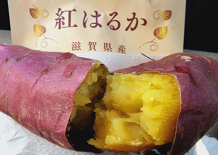 品種による特徴の違い 紅はるかや安納芋など