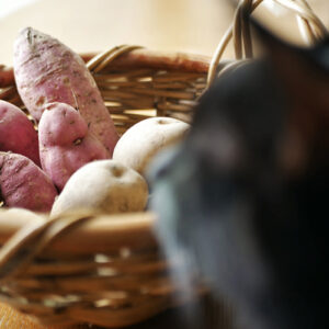 猫はさつまいもを食べていい？便秘解消のメリットやアレルギーのリスクについて