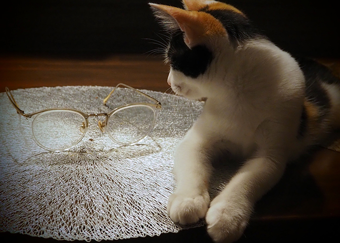 抗酸化作用による老化防止への期待