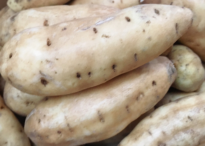 コンビニ芋けんぴの素材へのこだわり