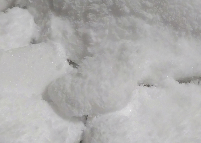 急速冷凍で風味を閉じ込める