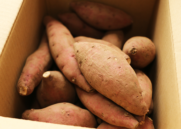 ハロウィンスイートの誕生秘話と名前の由来