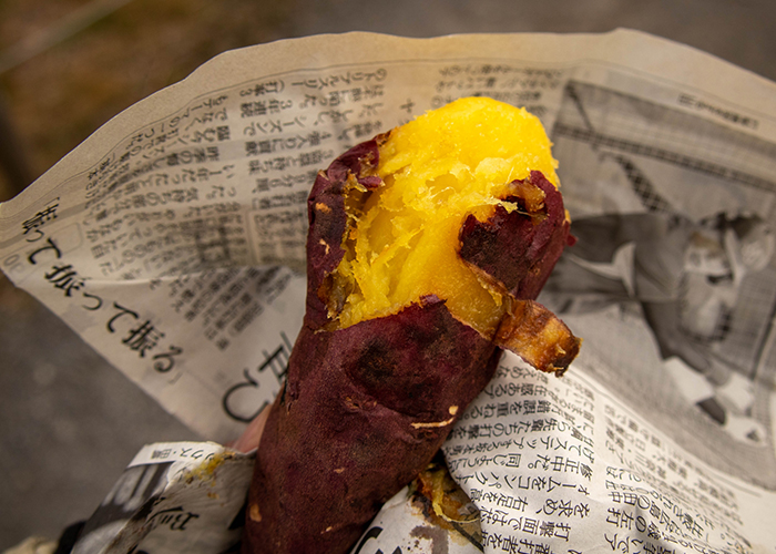 高い抗酸化力を持つポリフェノール