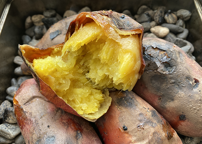 品種による栄養価の違いと選び方