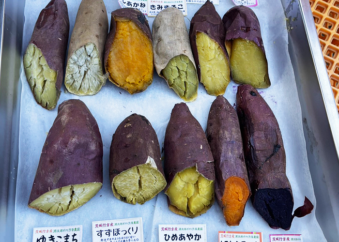 焼き芋食べ比べ