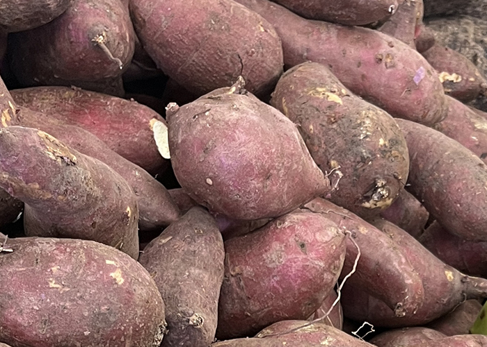 しっとり食感の台農66号（紅心番薯）