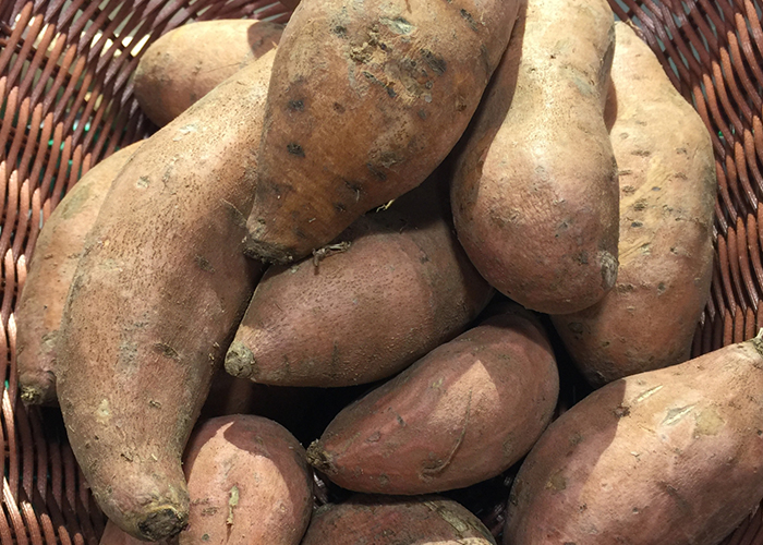 蜜が溢れる台農57号（黄金地瓜）