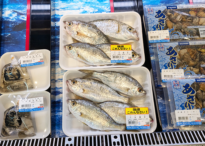 五島のスーパー激安魚セット