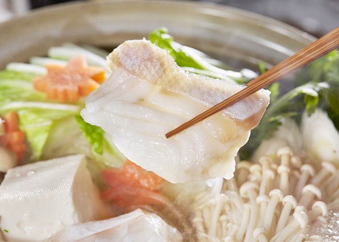 五島　幻の高級魚「クエ」と椿の花を愛でる旅