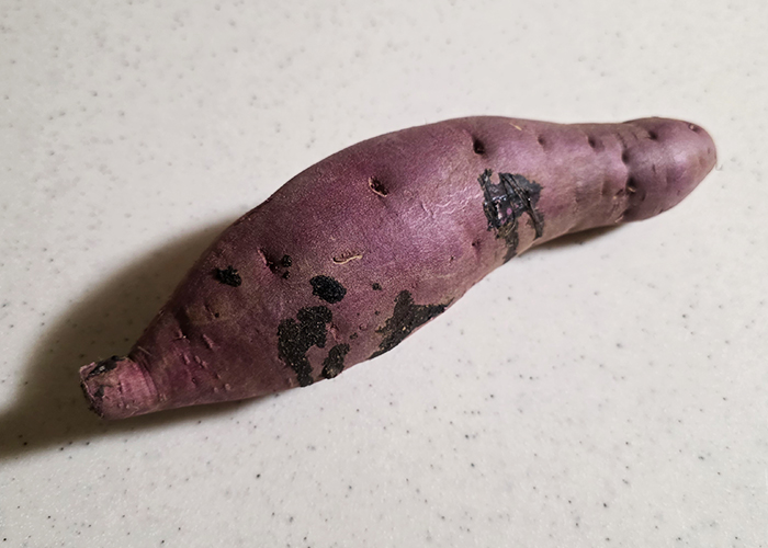 【さつまいも甘露煮】甘露煮に使うさつまいもの見極め方