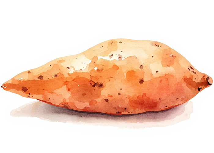 おしゃれな水彩画風にするプロンプトのコツと作例　シンプルなさつまいもの水墨画