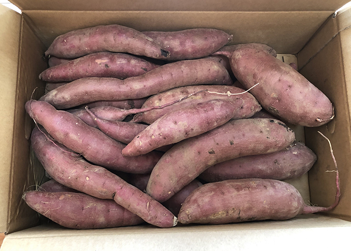 家庭でできる簡単なキュアリングの方法