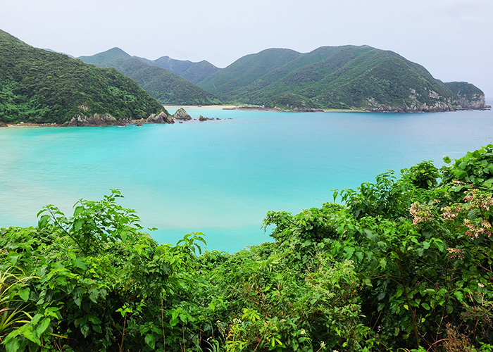 高浜海水浴場のエメラルドグリーンの海