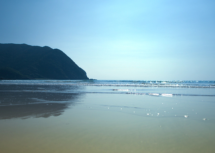手つかずの大自然と美しい海