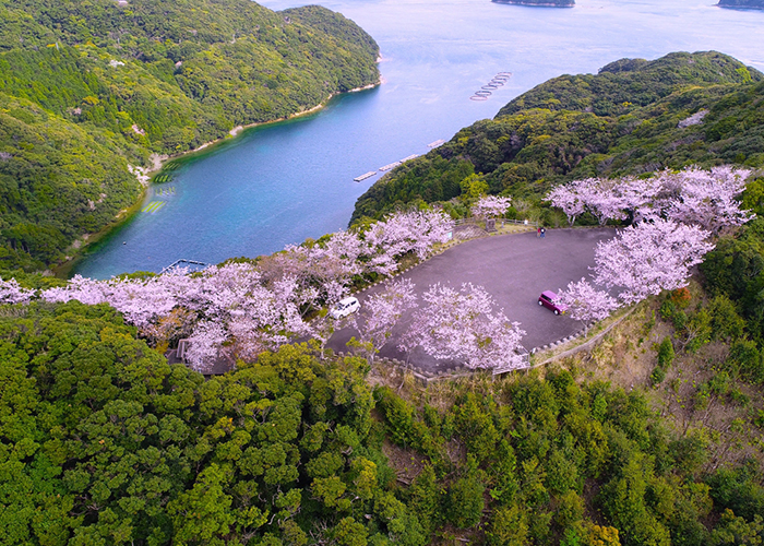 龍観山展望所(若松島)