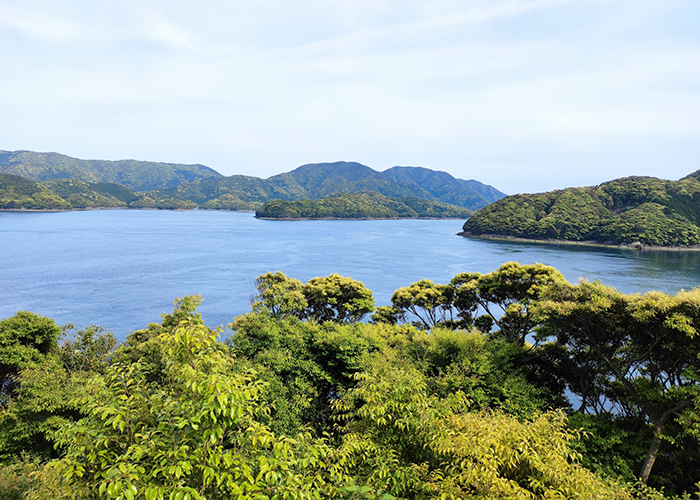 中通島（上五島）