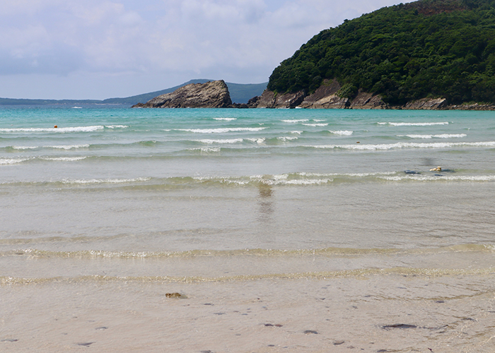 三井楽・高浜エリアのカフェ
