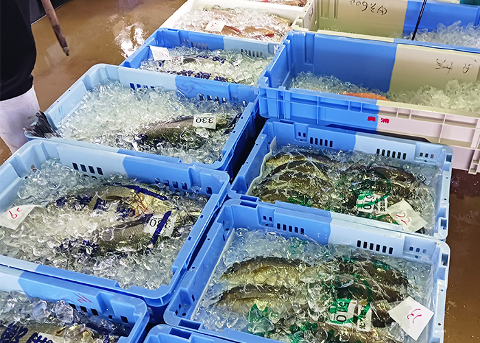 新鮮な海の幸と豊かな食文化