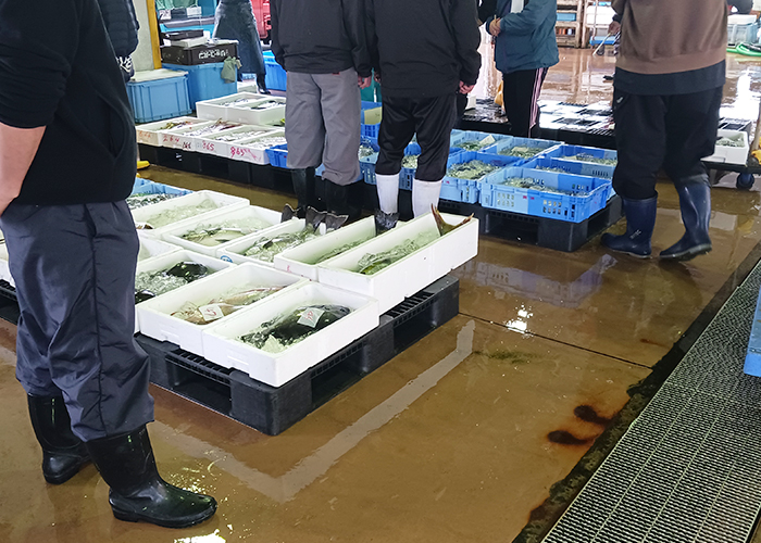 農業・漁業への新規就農・就業支援