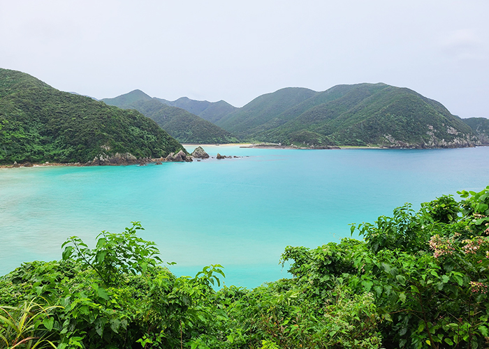 息をのむほど美しい自然と景観