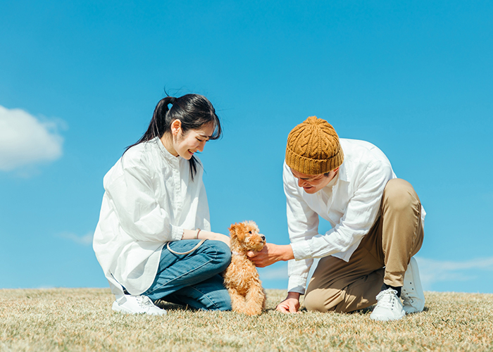 1ヶ月の生活費モデル（夫婦2人暮らしの場合）