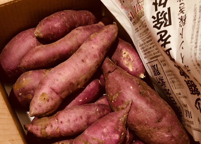 段ボール箱の活用法