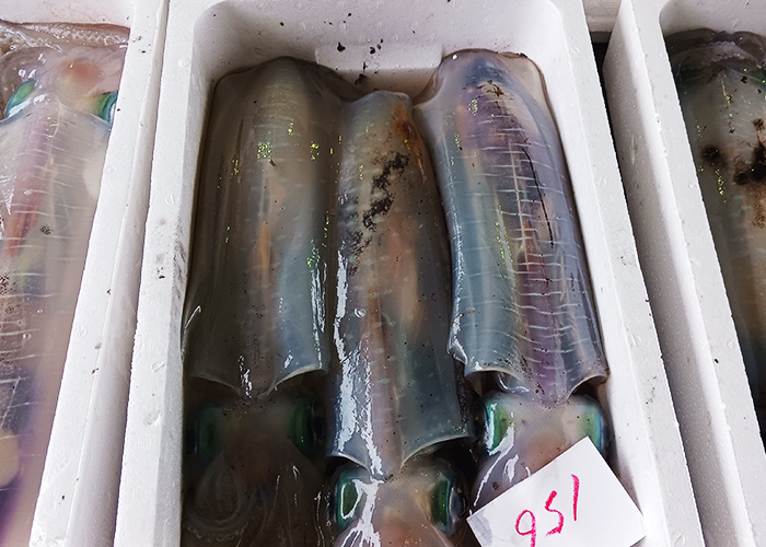 豊かな海が育む新鮮な地魚