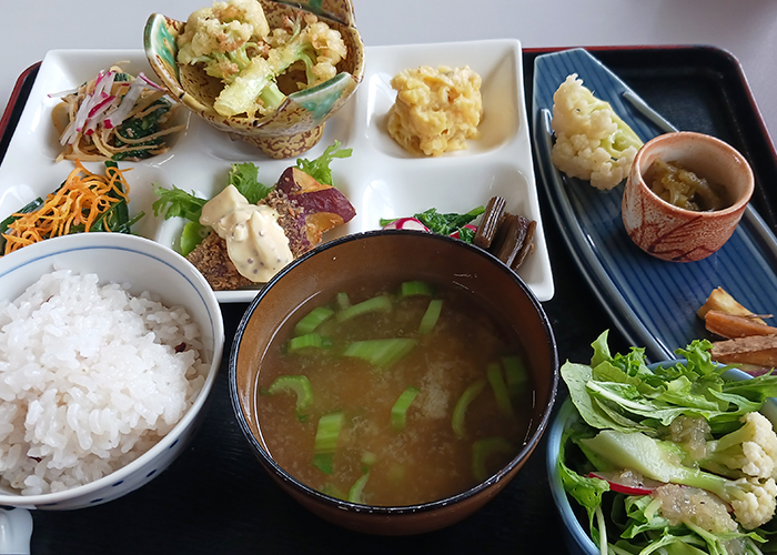 日替わりランチのトレイ