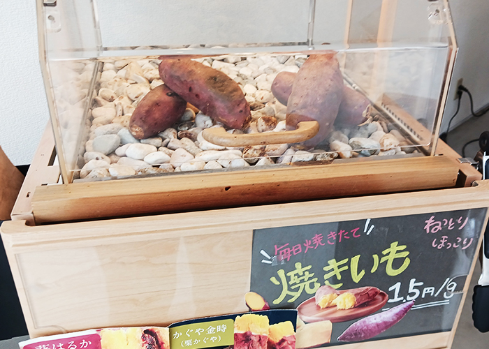 新品種である「栗かぐや」